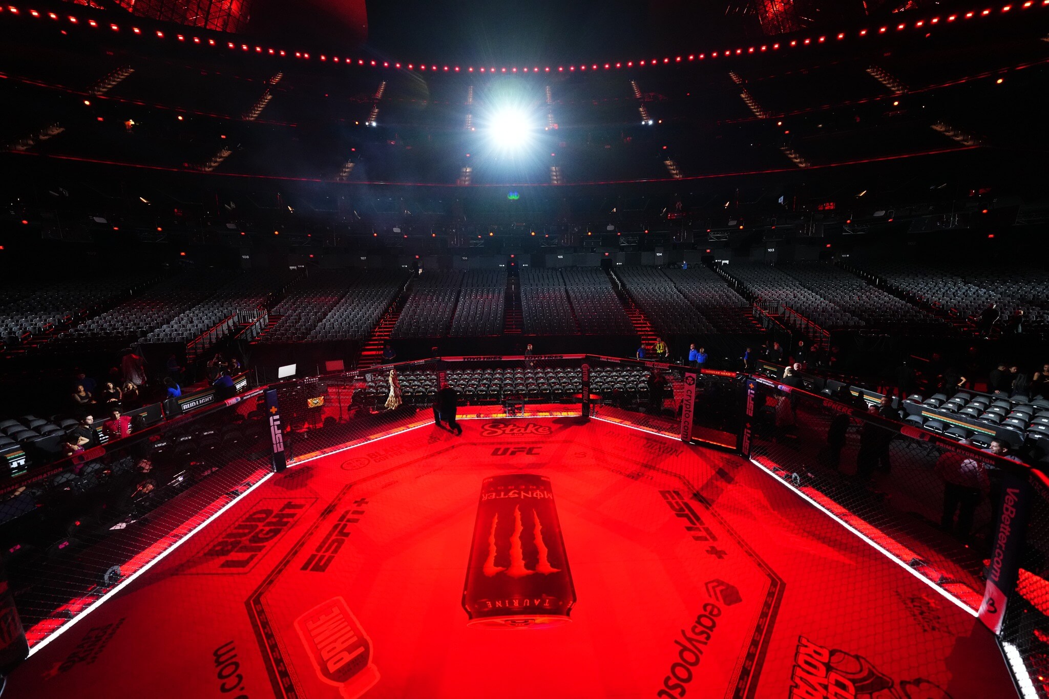 UFC 306