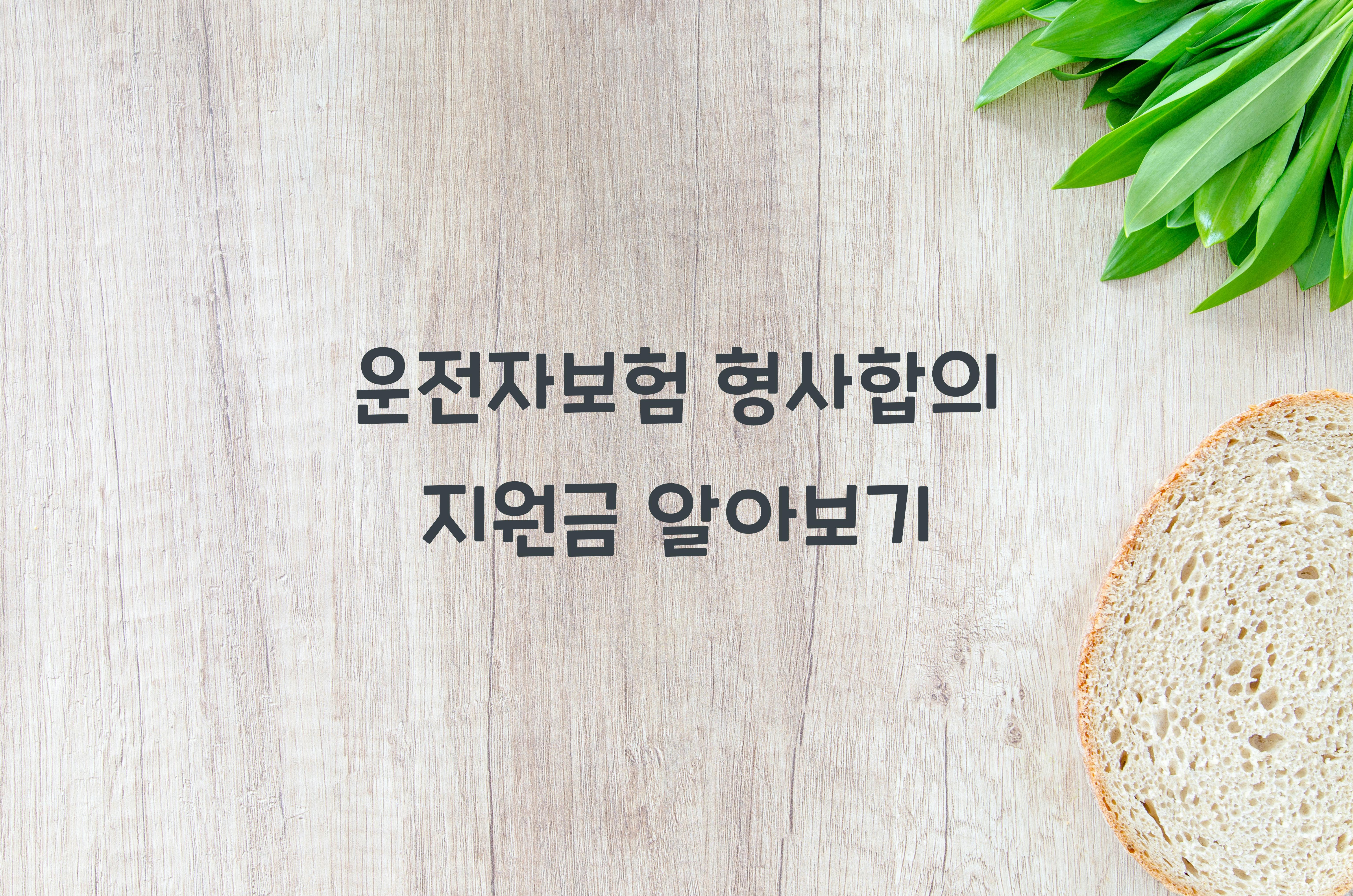 운전자보험 형사합의 지원금