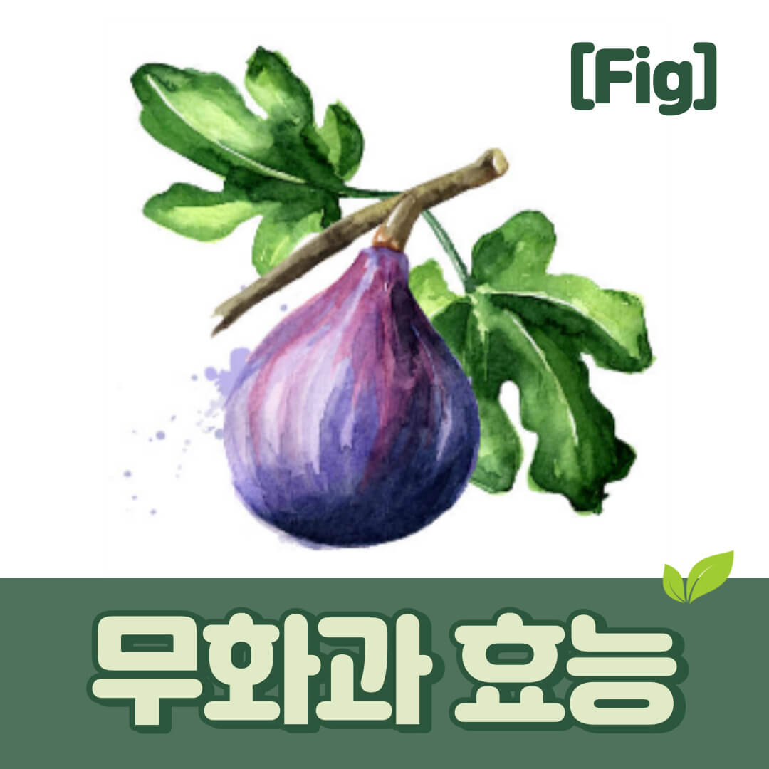 무화과