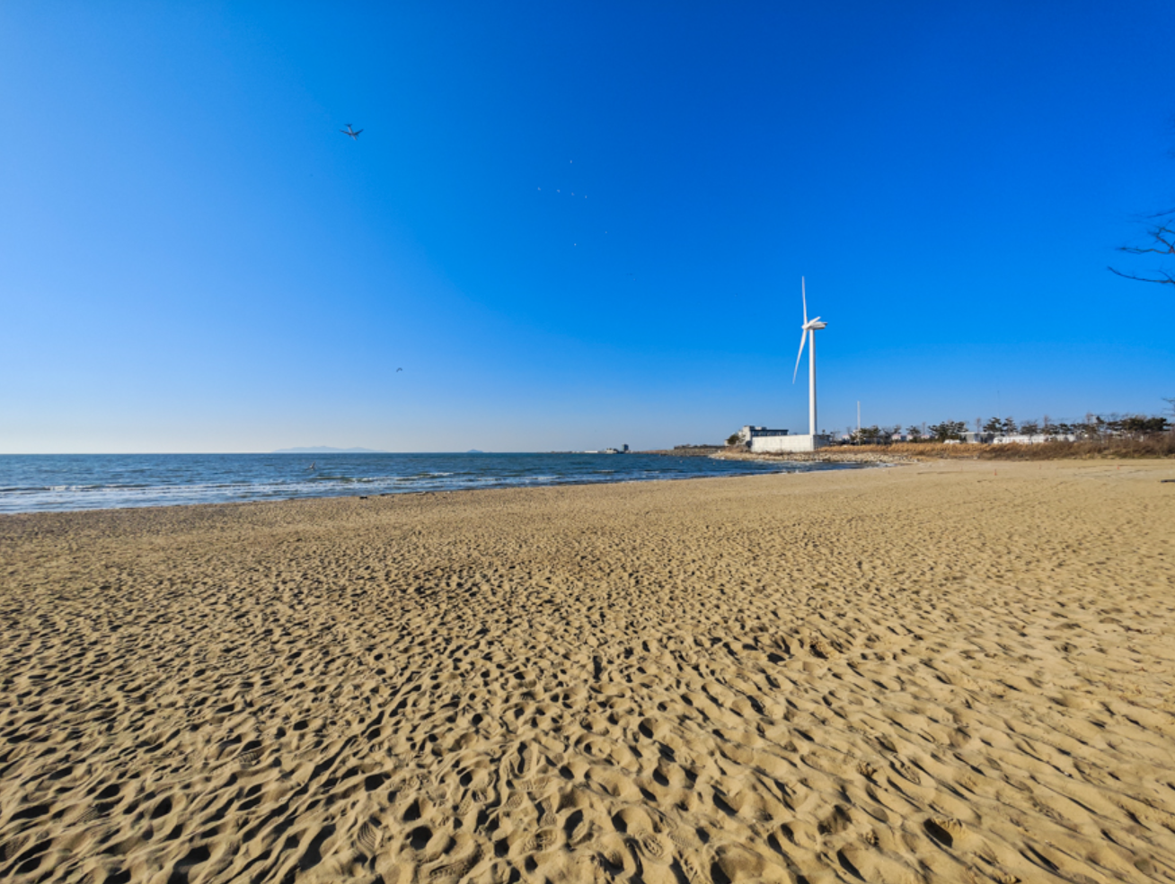 대부도 여행 추천