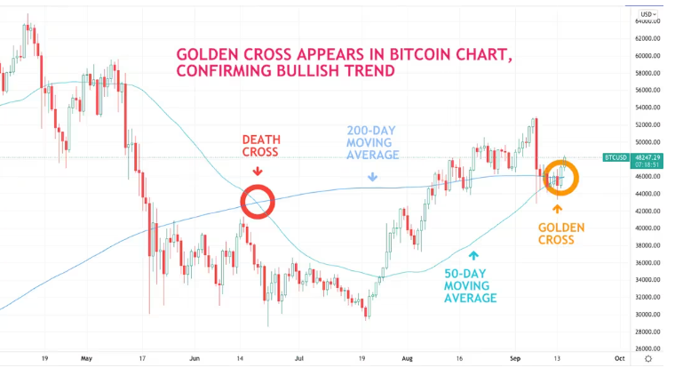 코인데스크-홈페이지