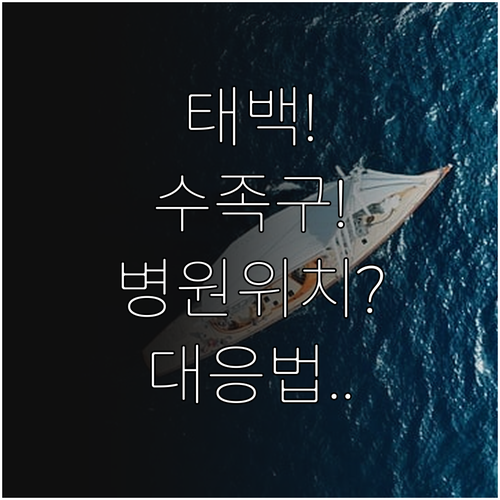태백시 수족구 진료 병원 위치와 상황..