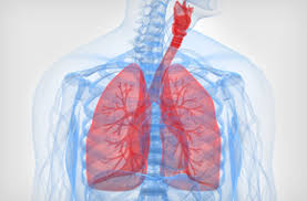 폐에 물이 차는 원인