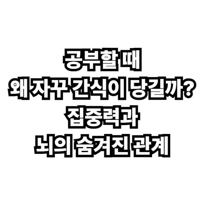 공부할 때 왜 자꾸 간식이 당길까 집중력과 뇌의 숨겨진 관계