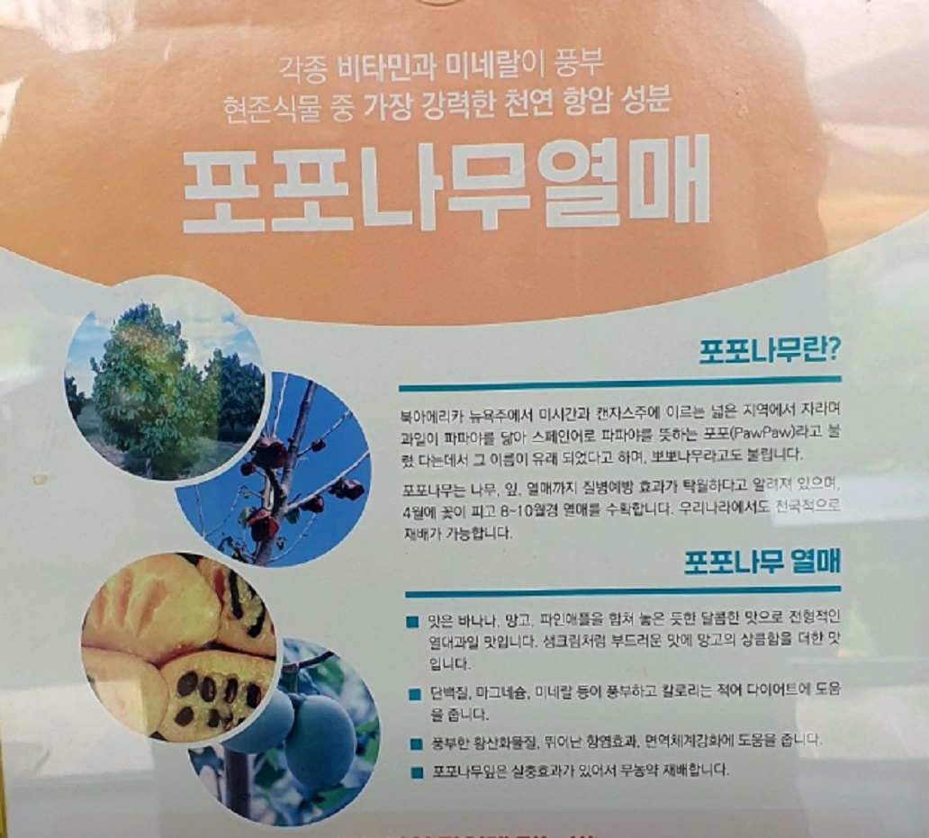 6시내고향-포포열매-논산-더좋은농원-