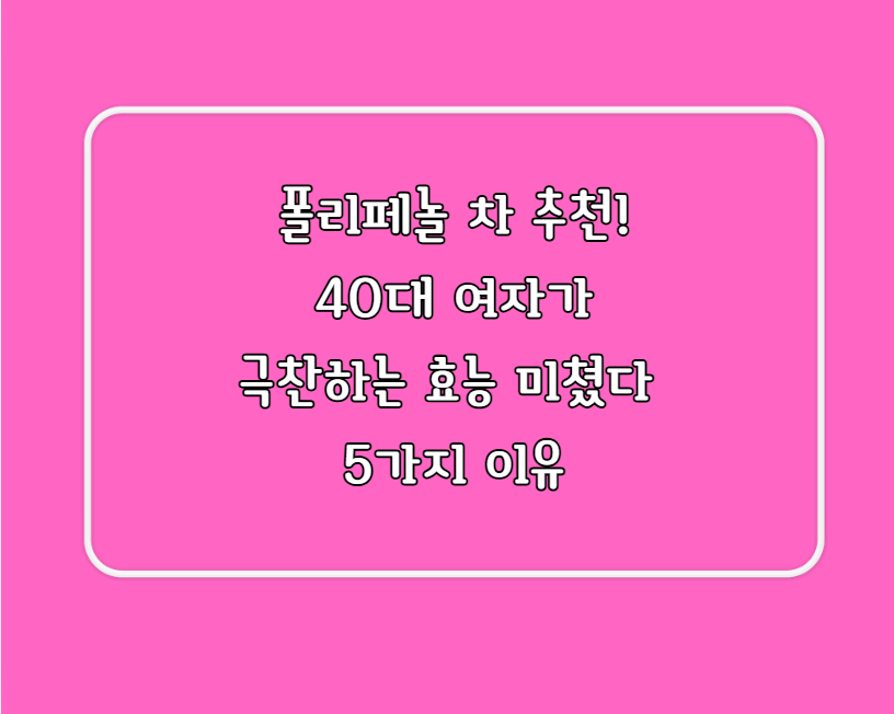 폴리페놀 차 추천!