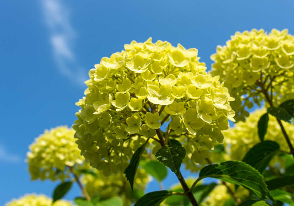 MBTI 성격 유형별 스트레스 해소법