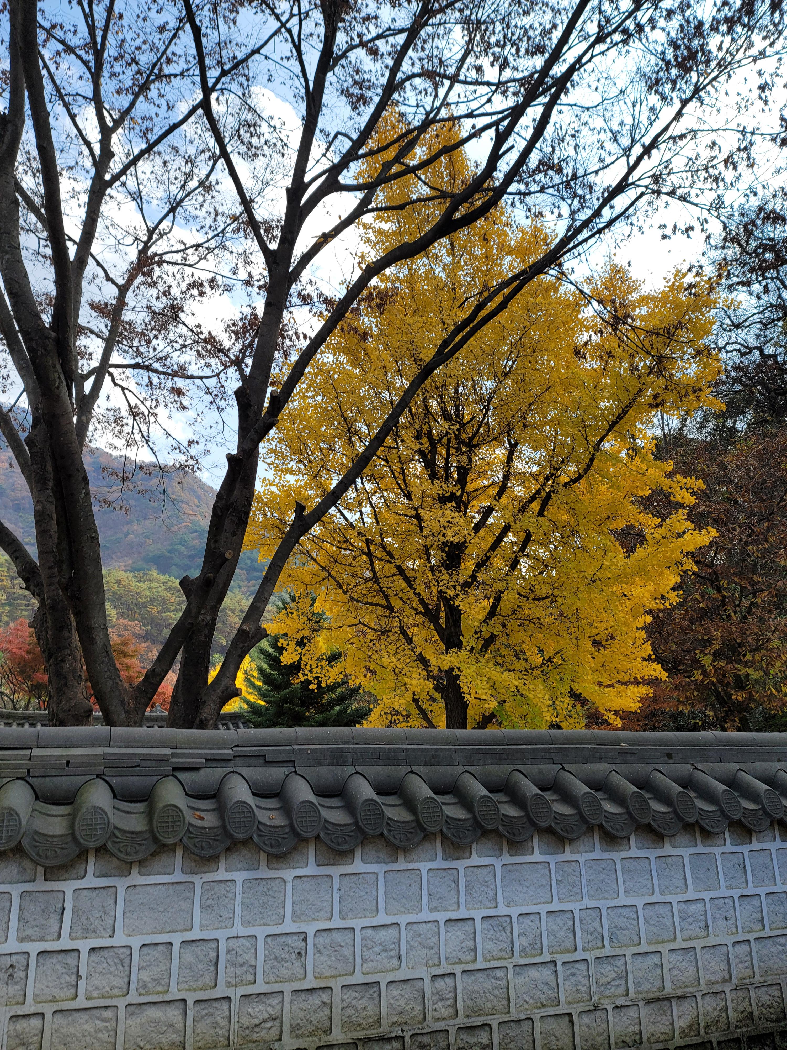 문경 오픈세트장 가을 풍경