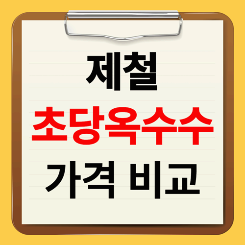 제철 초당옥수수 구매 꿀팁