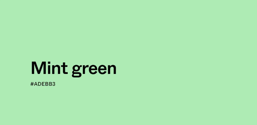 초록색(green) 계열의 색상 종류처럼 색과 아이템을 연결해 전체 착장을 정돈한 코디입니다.