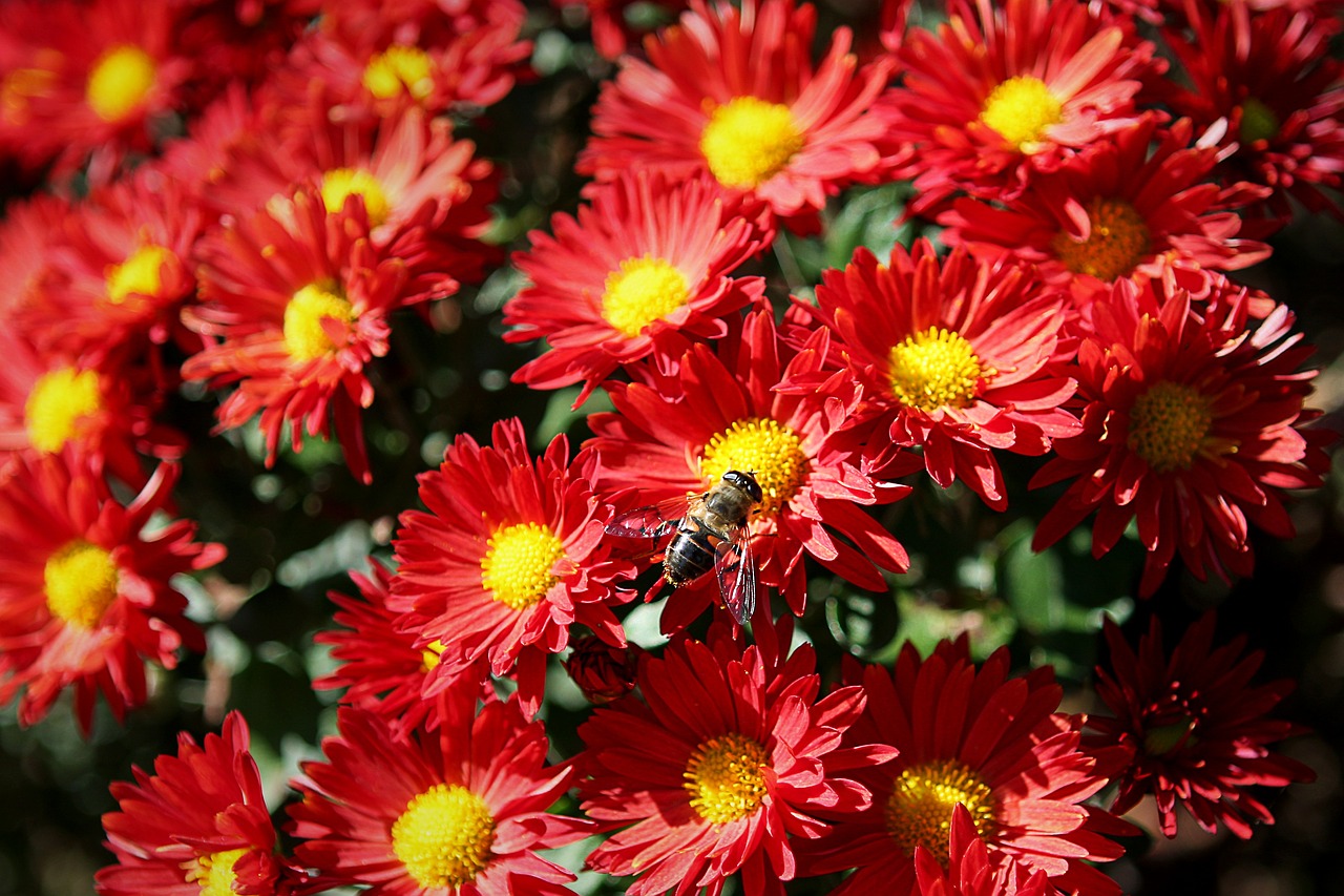 정부지원 대출 총정리 - 소상공인·창업자·서민을 위한 맞춤형 자금 지원