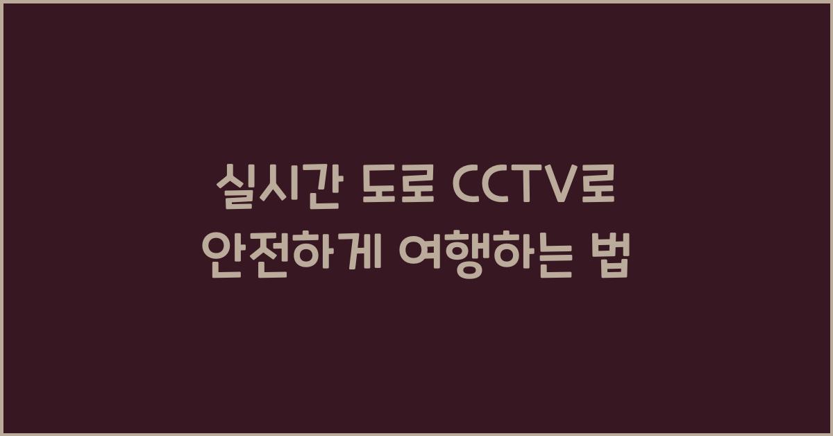 실시간 도로 cctv