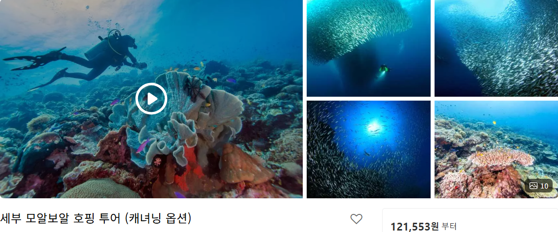 세부 여행 준비물 및 자유여행 (+ 리조트 비행시간 환전)