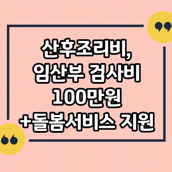 산후조리비-100만원