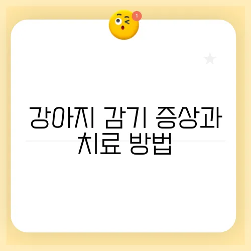 강아지 감기 증상과 치료 방법, 예방도 중요해요