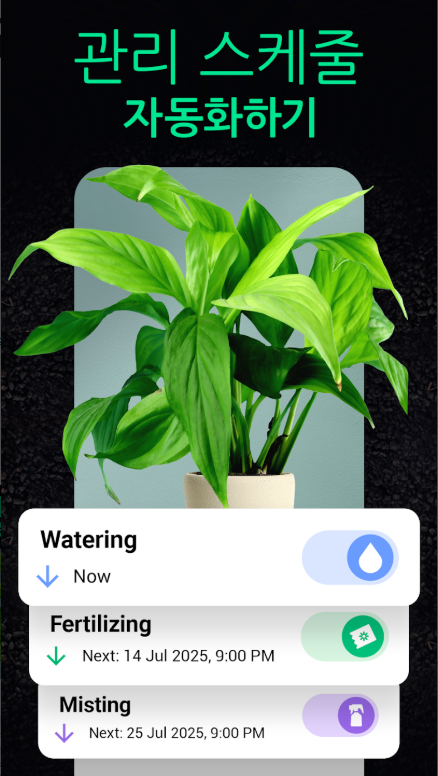 꽃 이름 찾기 어플, 앱에서 식물과 꽃 이름 무료 찾기