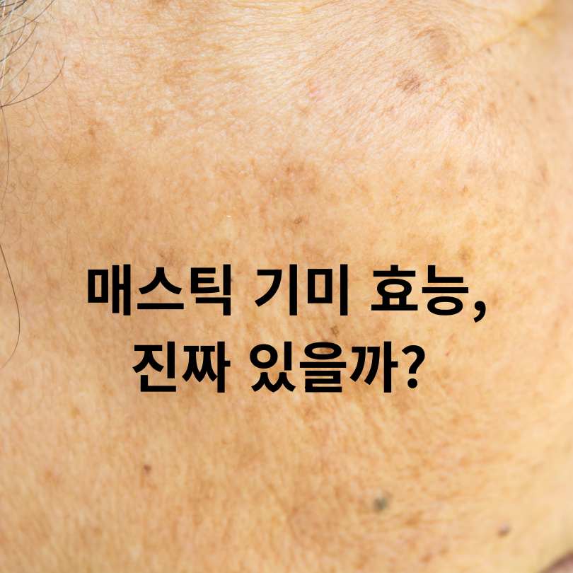 매스틱기미효능