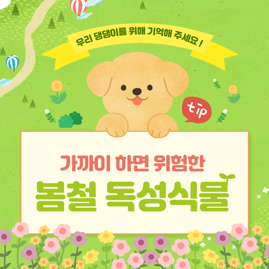 강아지 봄철 독성식물