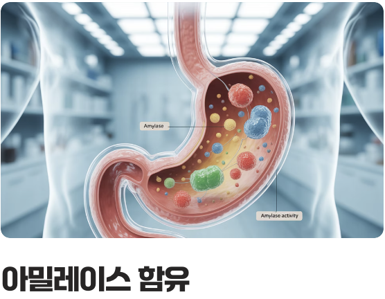 소화 불량에도 효과적인 이유