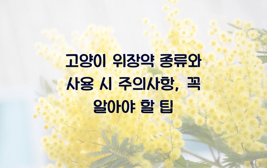 고양이 위장약 종류와 사용 시 주의사항