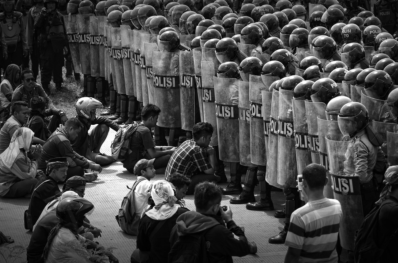 윌라엄 골딩 파리대왕 작품 관련 사진