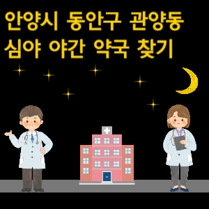 안양시 동안구 관양동 심야 야간 약국 찾기