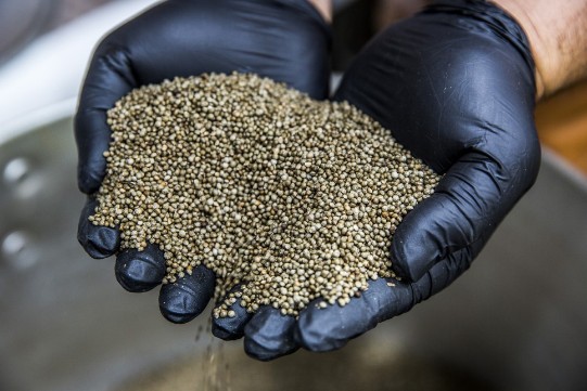 들깨가루-먹는법