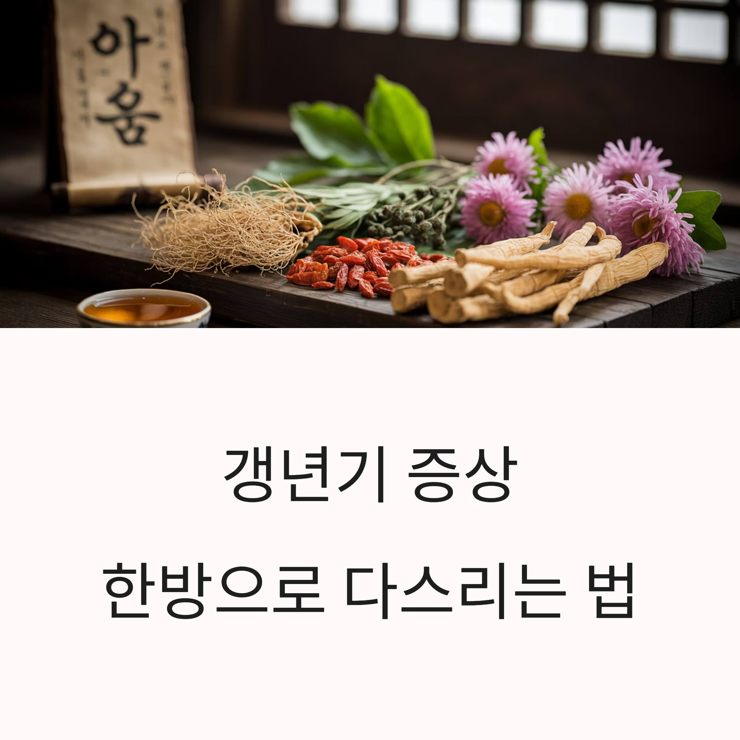 자연스럽게 다스리는 한방요법의 힘