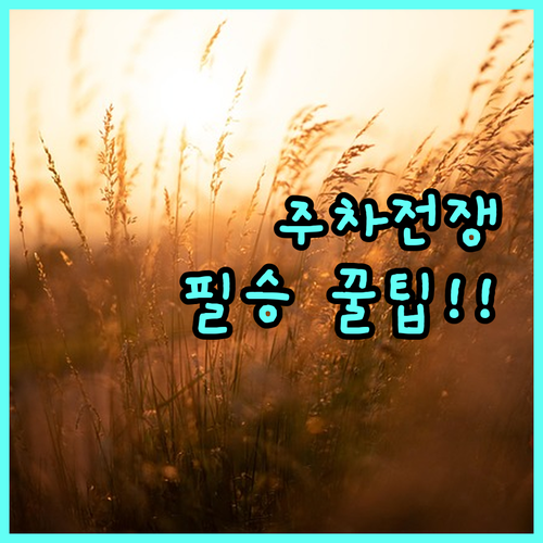 새해 일출 명소 주차 성공 전략 20..