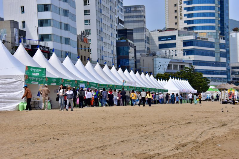 광안리 어방축제