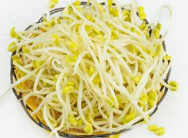 콩나물무침 레시피