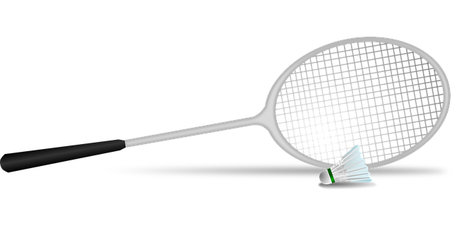 라켓 선택 가이드 사진