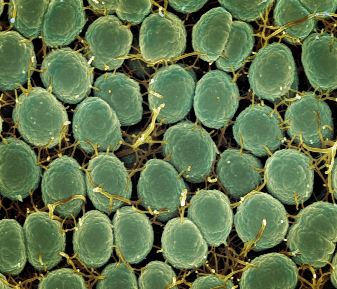 STD