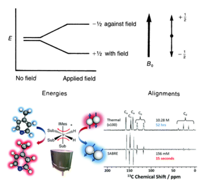 NMR 원리를 설명한 그림