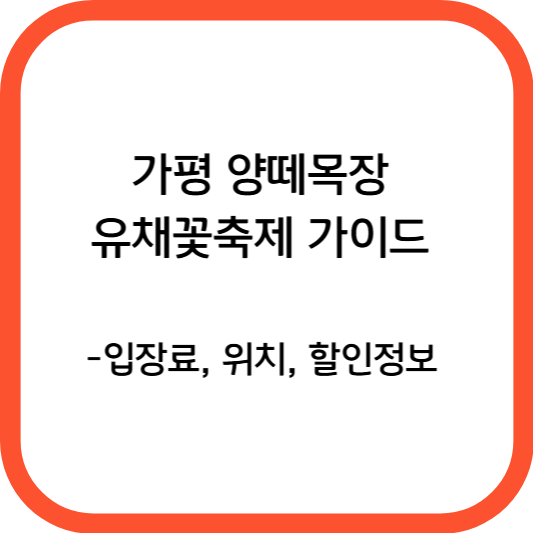 가평 양떼목장 유채꽃축제 가이드