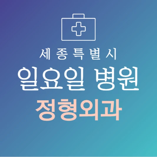 세종시-일요일-정형외과-문여는곳-주말에-진료하는-세종시-24시간-정형외과-병원