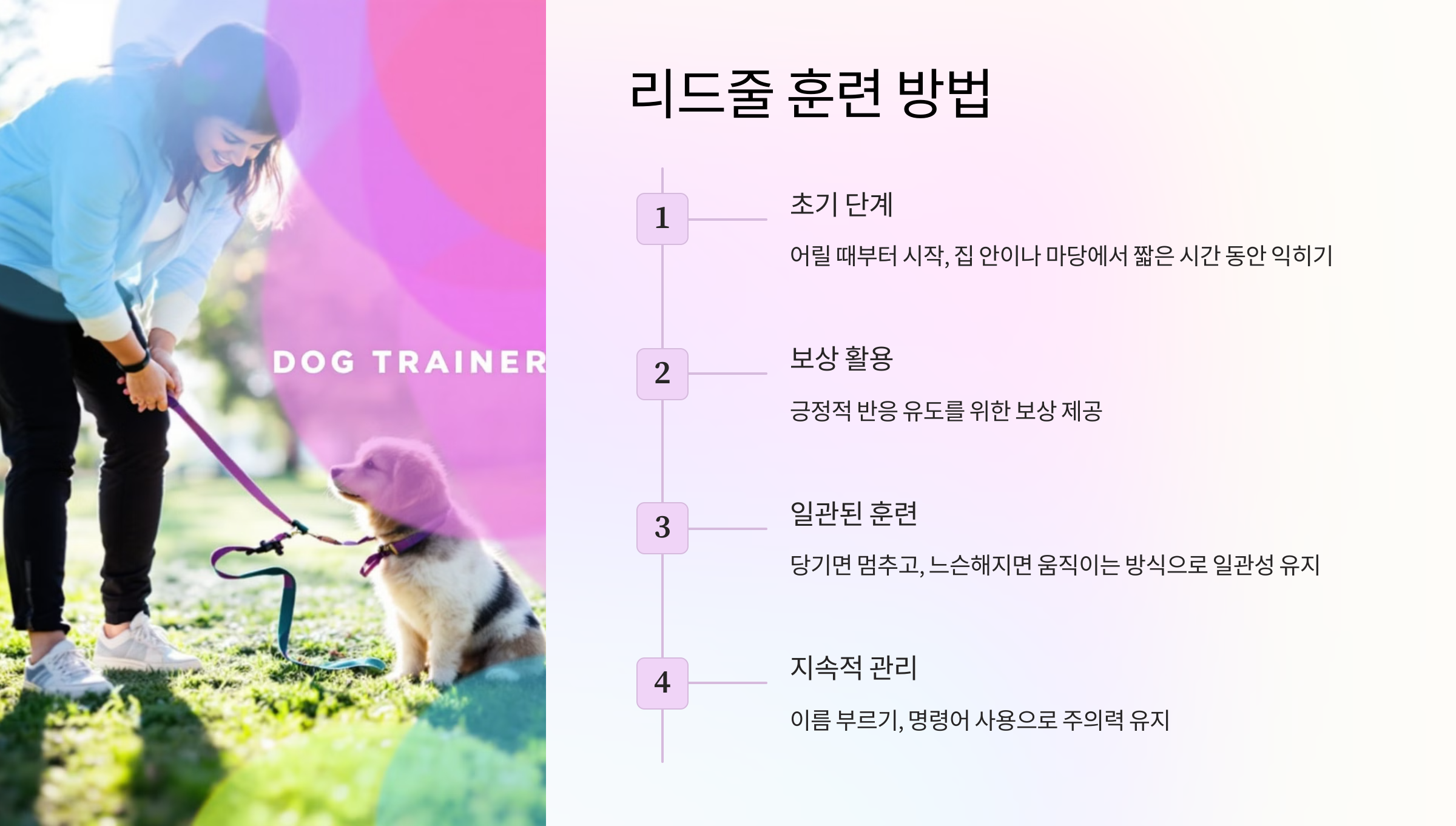 리드줄 훈련 방법