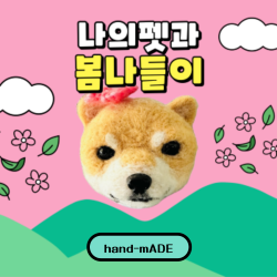 안녕.soni