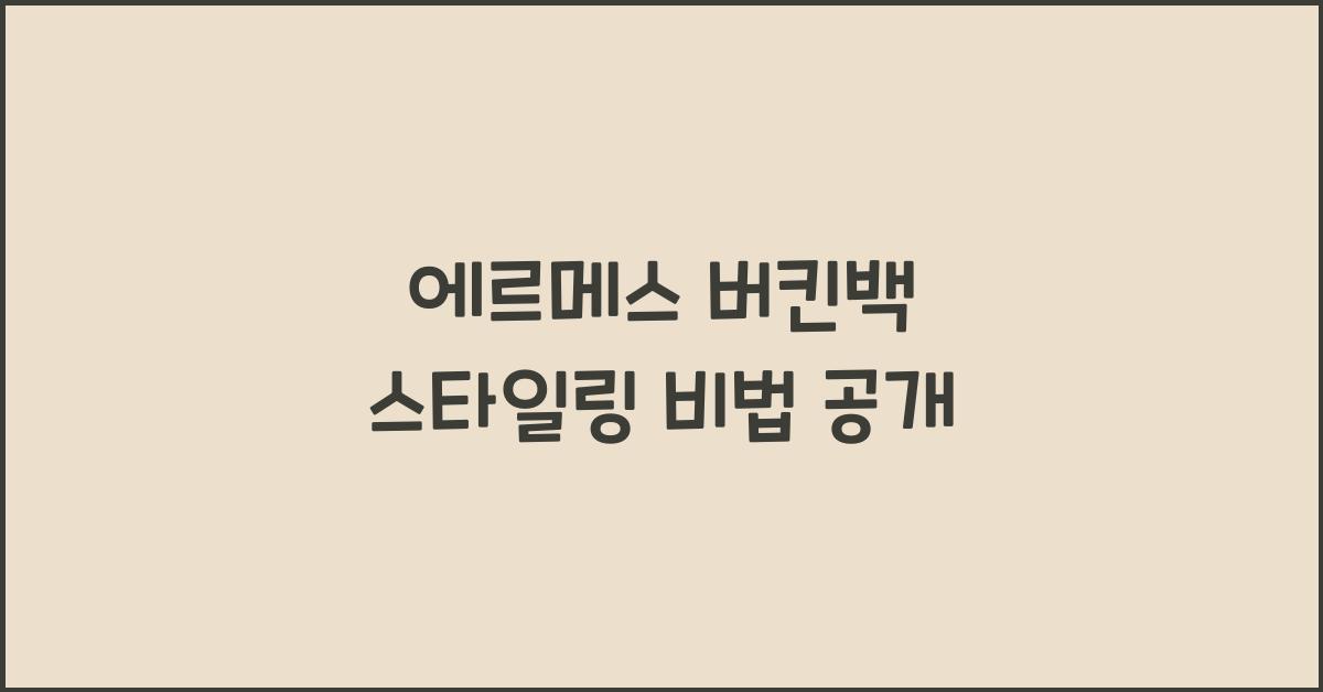 에르메스 버킨백 스타일링