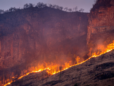 2025 산불 피해 보상 신청 방법