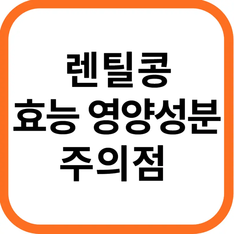 렌틸콩 효능 및 영양성분&#44; 주의점