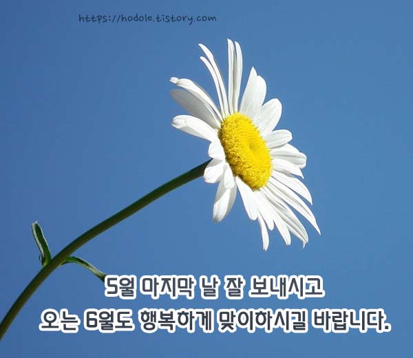 오월마지막날