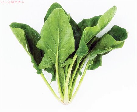 당뇨병 초기증상