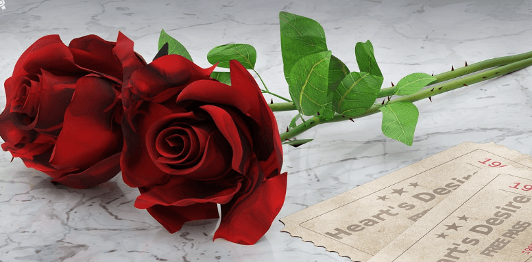 삼척장미축제 일정 입장료 주차장 관람꿀팁