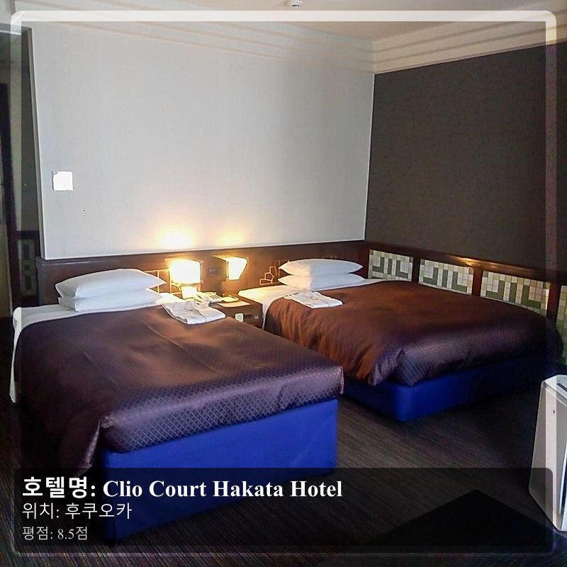 Clio Court Hakata Hotel_7