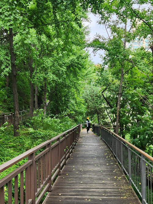 금호공원체육관 가는 길