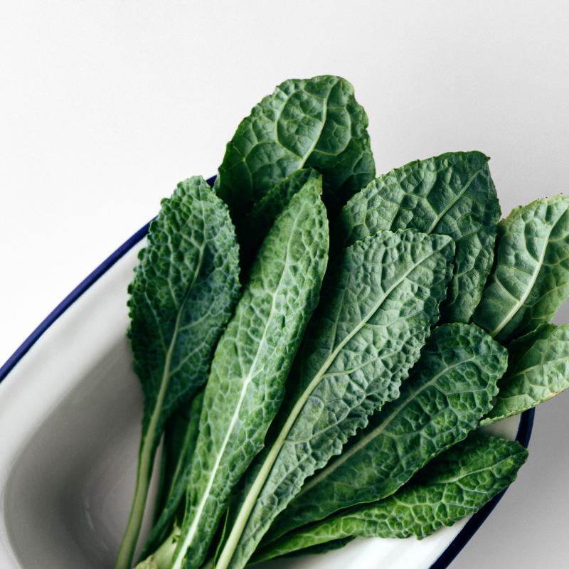 트루포뮬러 위톱 후기 리뷰 효능 효과