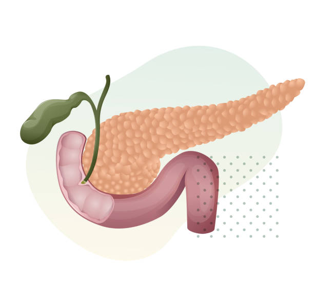 췌장암 신약 FDA 패스트 트랙 지정