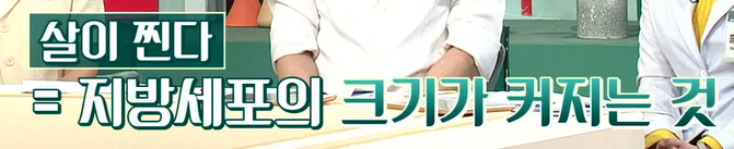 락토페린 효능