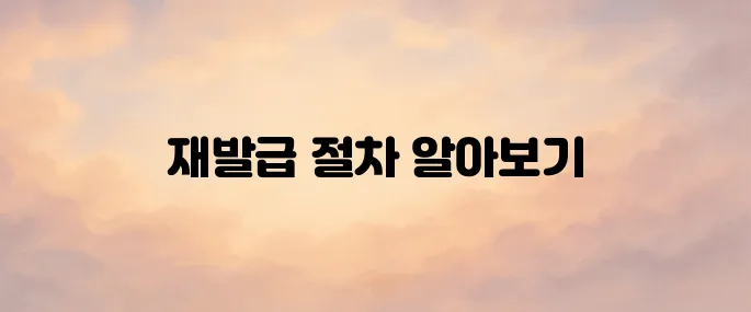 운전면허증 분실 후 재발급 받는 방법